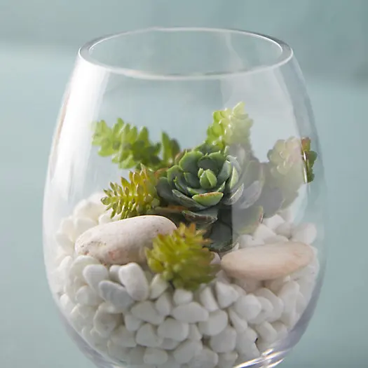 Rounded Bowl Vase Terrarium Moss Bonsai Home Decor Glass Plant Green House  Bottle Terrarium