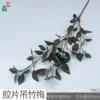 Film of Wandering Bamboo YWLZ Red Core Green