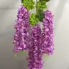 Lavanda