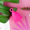 Rose in opp bag