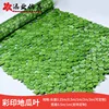 Color Printed Sweet Potato Leaves
