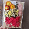 เอ5-11
