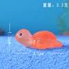 Tartaruga-arancione luminoso