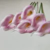 สีชมพู 1
