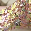 Sequin Mesh Fabric