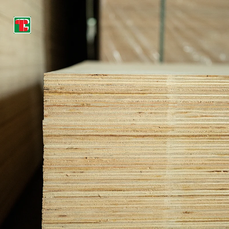 Wholesale Birch Engineered Wood Thickness 25mm 7 Ply Ev 8mm Commercial