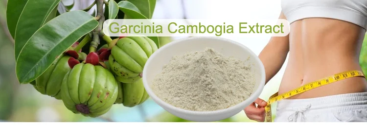 Pure Garcinia Cambogia Powder 