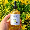 Vanilla Sandalwood