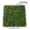 Green Pearl Grass