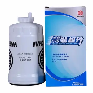 New Heavy Truck Fuel Filter Cartridge Hot 1000700909 Engine Parts