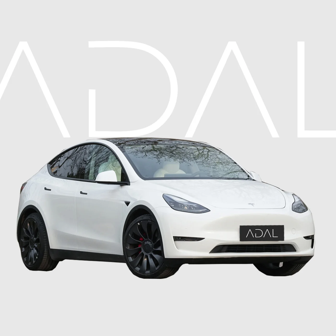 TESLA Model Y Electric Car New Energy