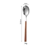 silver dinner spoon