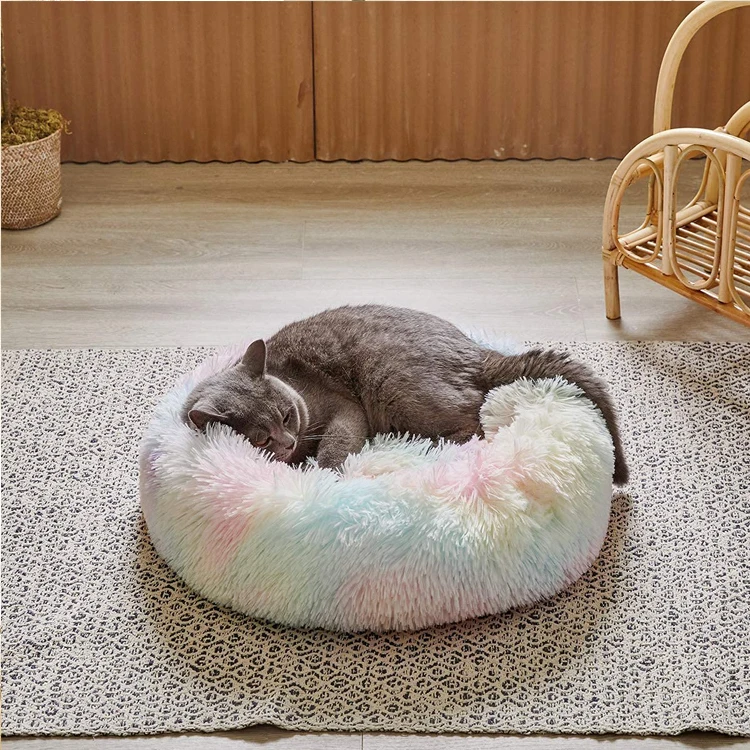 dog bed foam insert