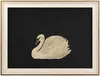 Cigno animale