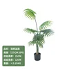 Fan palm 120CM