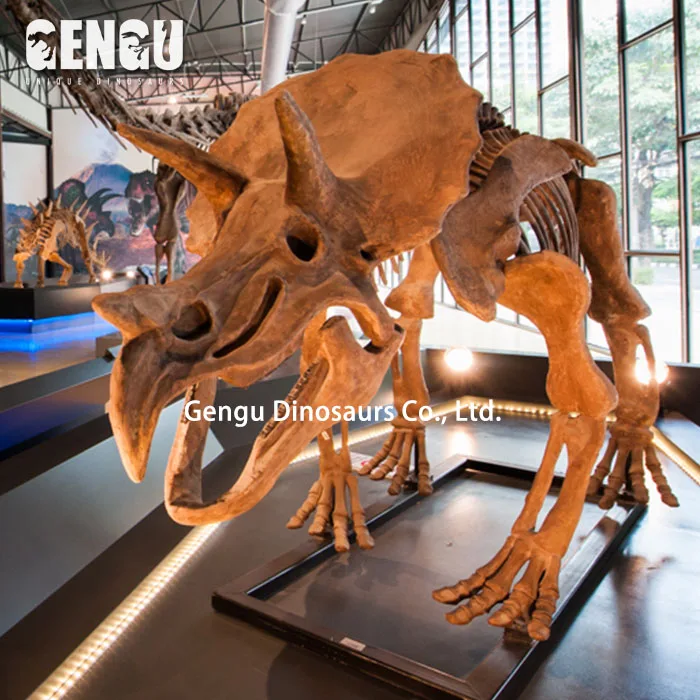 High Quality Dinosaur Skeleton and Fossils