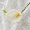 Yellow pistil-white and green tip