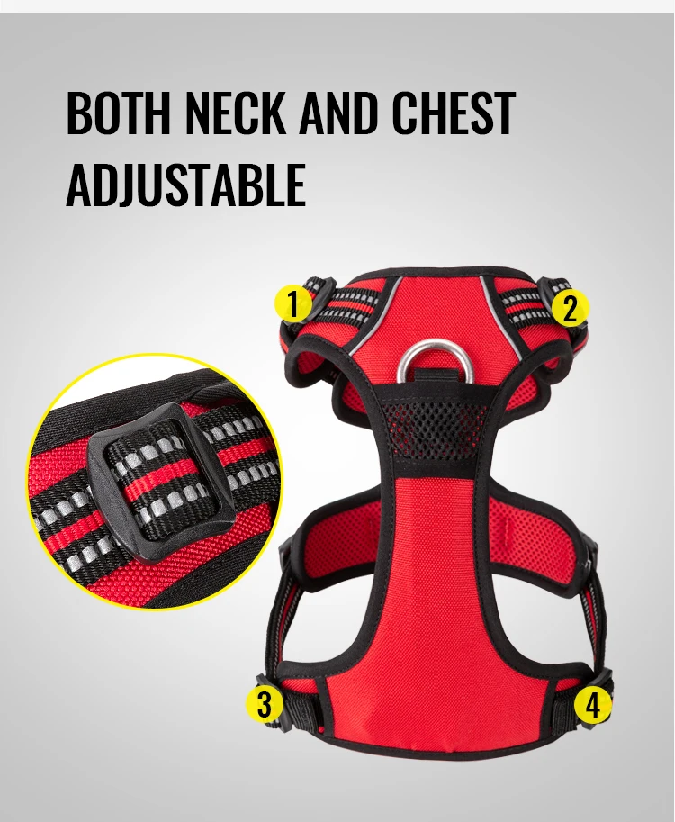 Truelove Classic 2023 Best Sell Adjustable Dog Harness And Leash Collar