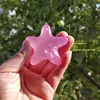 colorful B011 color changing starfish