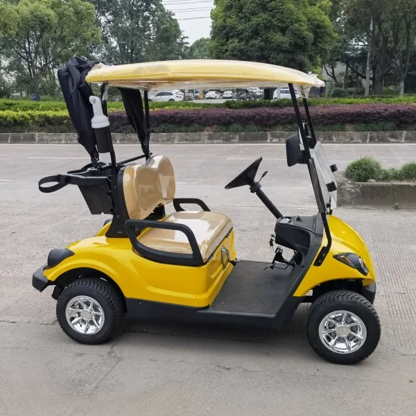 Seater Electric or Gasoline Power Golf Carts Fun Convenience