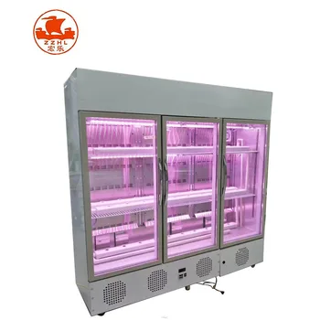 vegetable growing equipment hydroponic system cabinet to grow kit vegetables