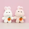 Lapin cartable carotte