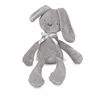 Gray rabbit