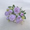 Viola