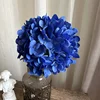 7# Bleu royal