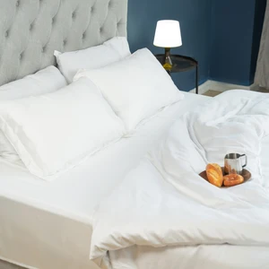 Ultra-smooth Material Tencel Lyocell Bedding Sets Luxury Comforter Set Silk Pillowcase for Home