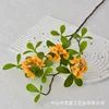 Long-branched island spring flowers - yellow