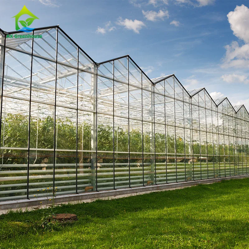 商用venlo型玻璃多跨度花卉温室