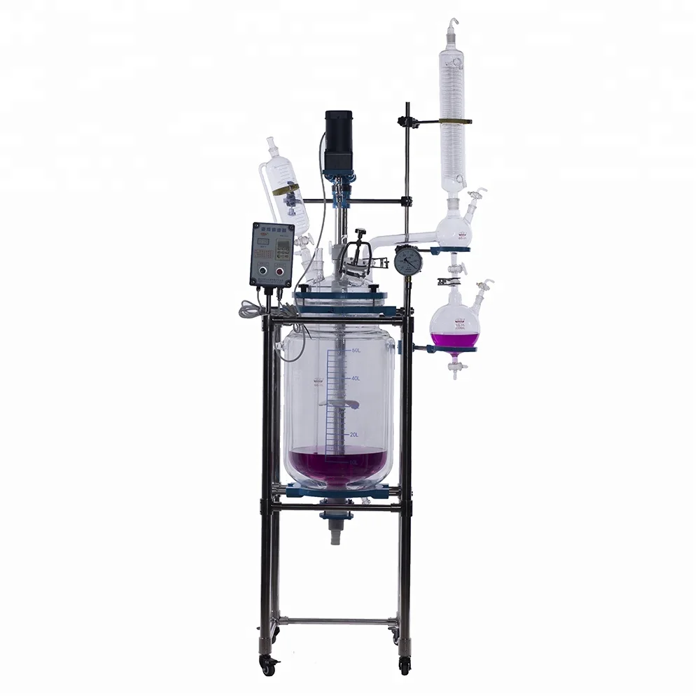 Customized Bioreactor with Vacuum Pump and Chiller 10L