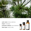 Himalayan Cedarwood (Himalayas) 10ml