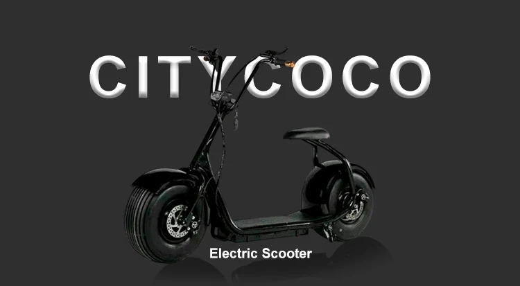 Emak/COC/EEC Fashion Two Wheel Best Electric Scooter for Adults Citycoco