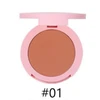 Powder blush 01