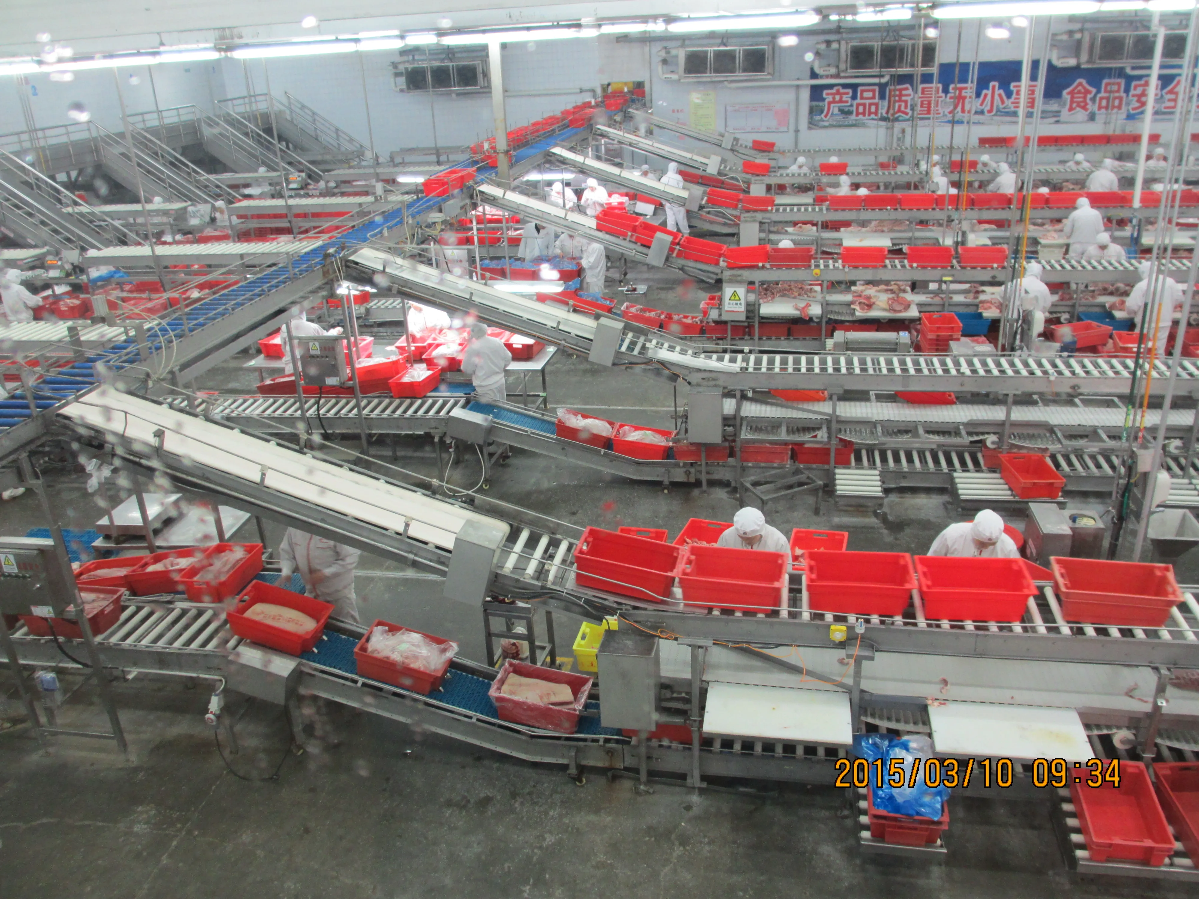 Meat slaughterhouse equipment PVC conveyor belts for cutting and packaging lines