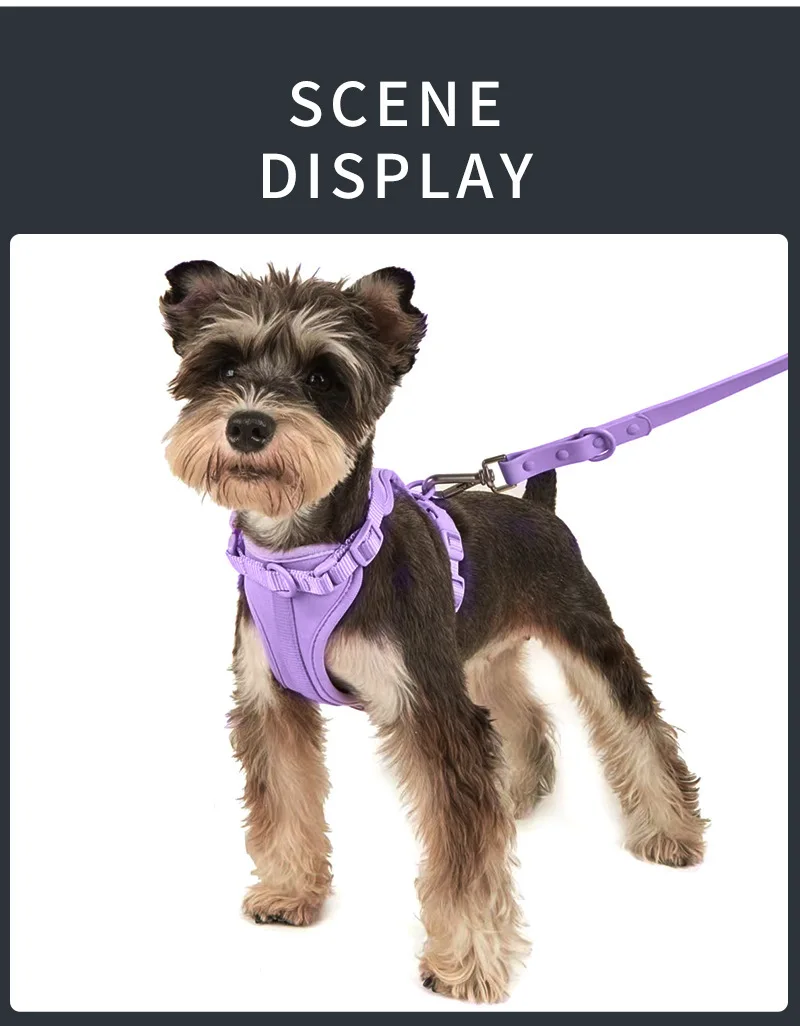 Shop Our in Stock PVC Waterproof Dog Harnesses & Leashes