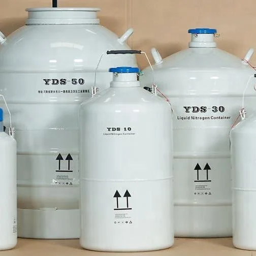 Small 2L Liquid Nitrogen Cryogenic Storage Tank Industrial Gas Use YDS-2 for Ice Cream