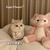 Foundation Heart Bunny