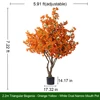 Arancione Giallo 7,2 piedi con Vaso Zavorrato