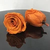 Arancione