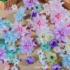 Mixed Colors - 50 Roses