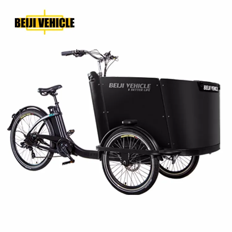 Cargo bike 3 wheel electric bicycle cargo Alibaba