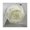 01-testa di rosa di seta