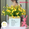 Nouveau sac de câlin anglais à 5 paquets de camomille jaune