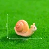 5#snail