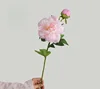 Rosa claro