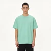 Menthe