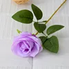 Pourpre